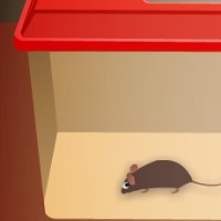 Спасти мышку