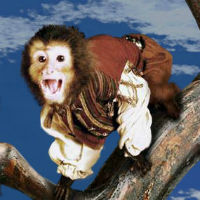 Пиратская обезьянка Барбоссы